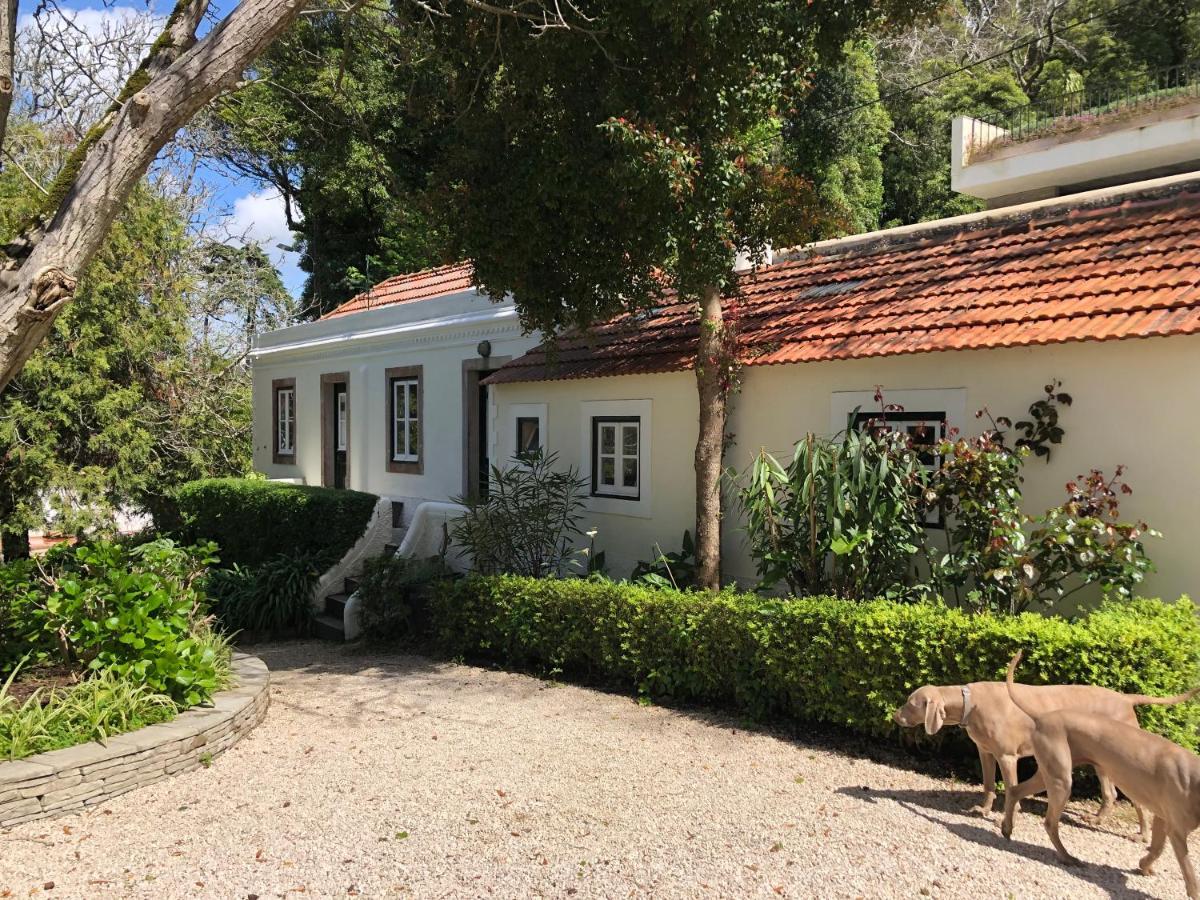 Luxurious Royal Estate In Historic Sintra Paradise Esterno foto