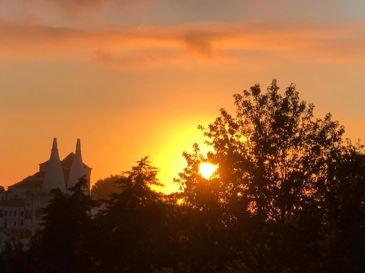 Luxurious Royal Estate In Historic Sintra Paradise Esterno foto