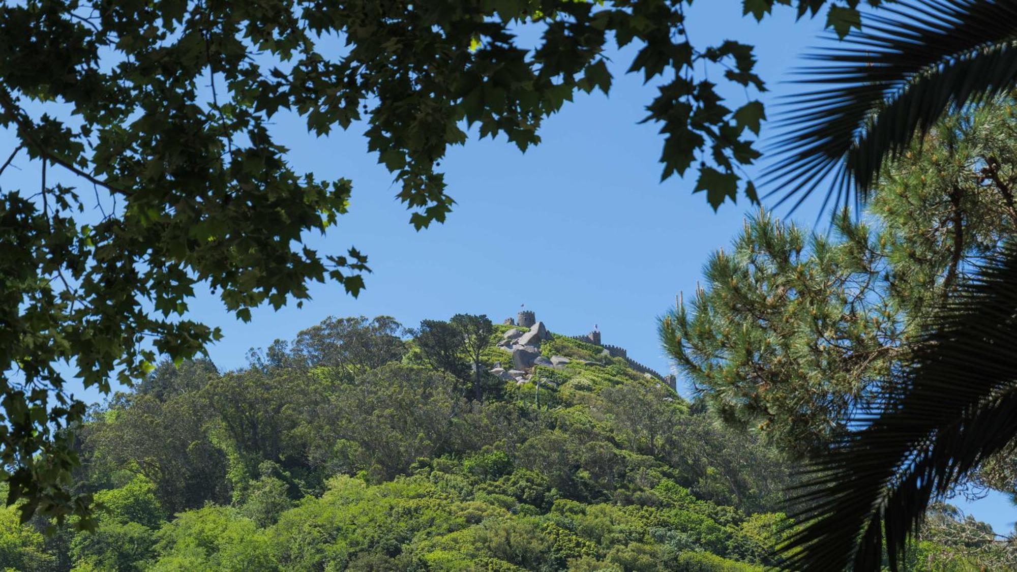 Luxurious Royal Estate In Historic Sintra Paradise Esterno foto